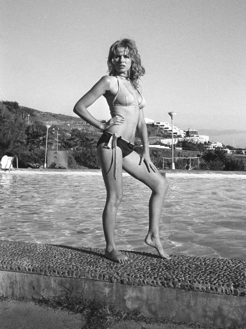 Модель Джули Десмонд