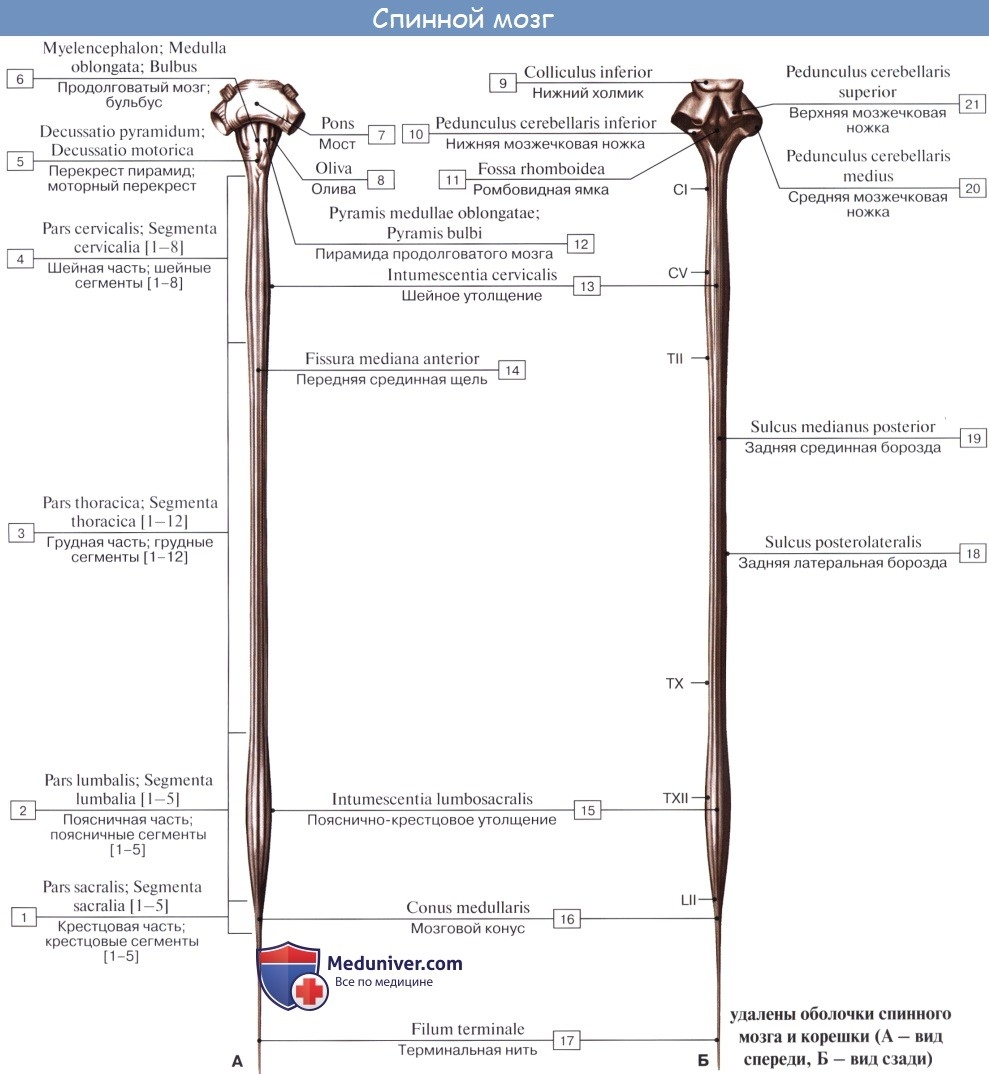 Тёмные обои девушки
