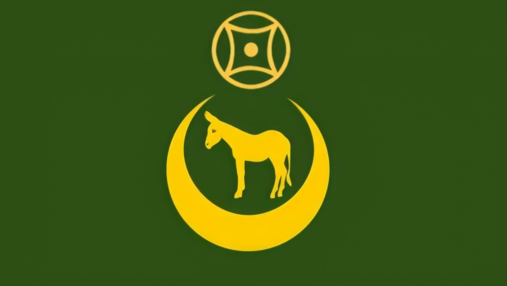 Тощий вектор