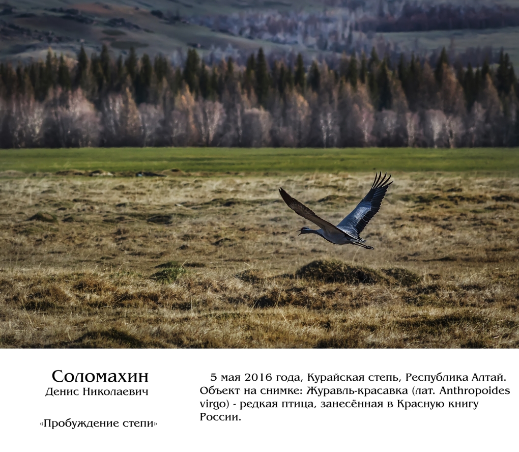 Шлеина Варвара