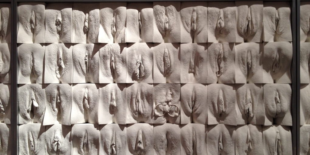 Разновидности женской вагины