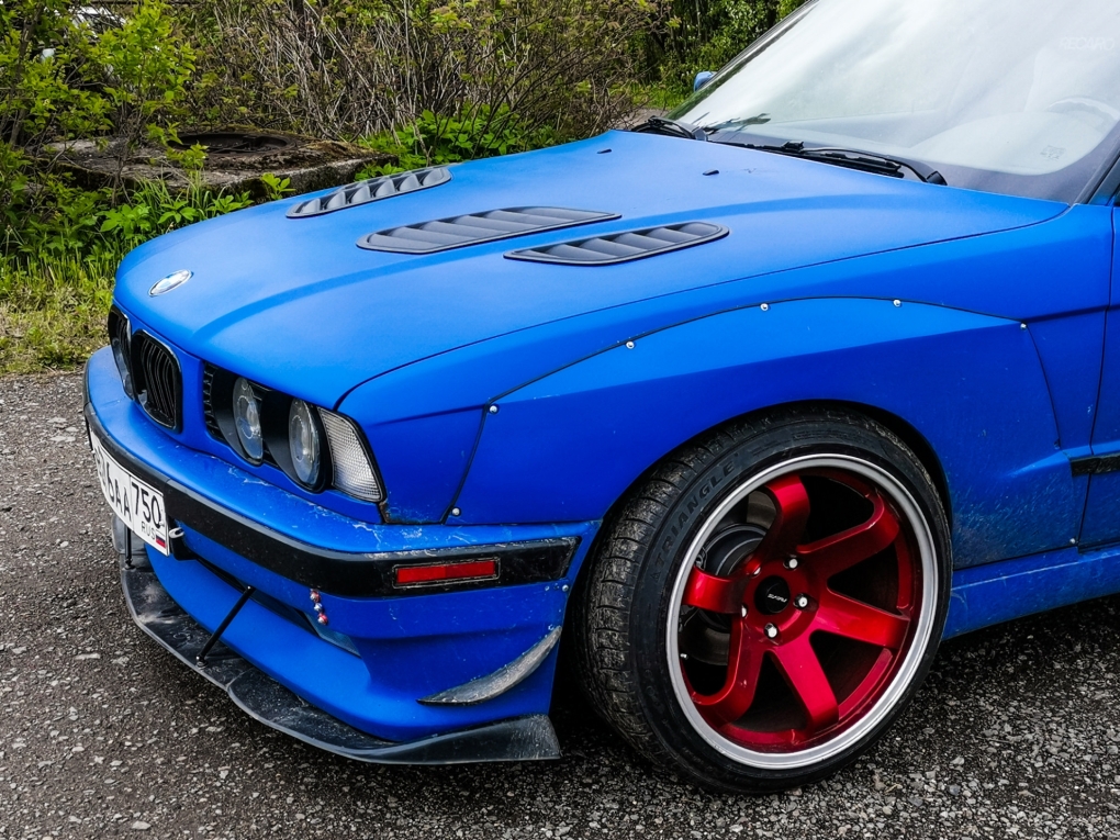 Десятиногие ракообразные креветка