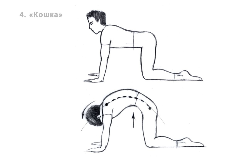 Упор стоя на коленях упражнения