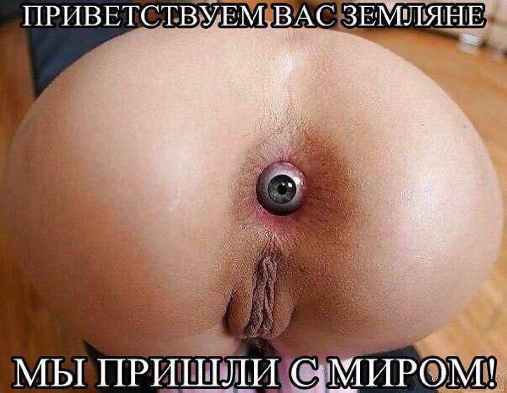 Эми Брук анальная дыра