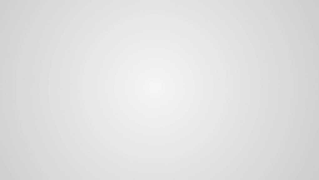 Абдюшева художница