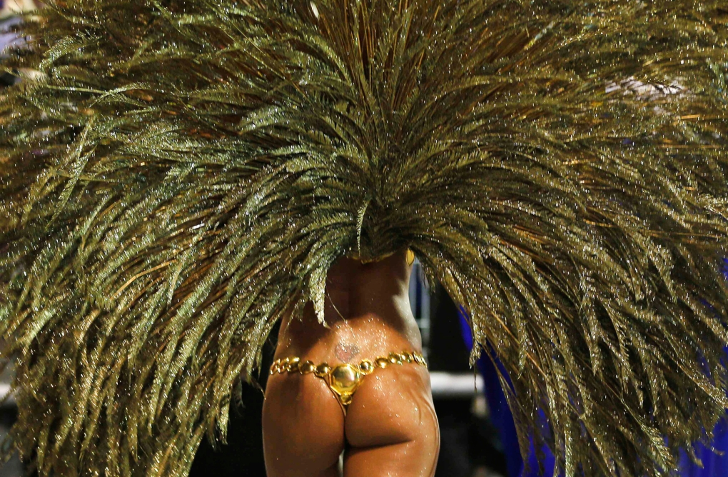 Бразильский карнавал попки