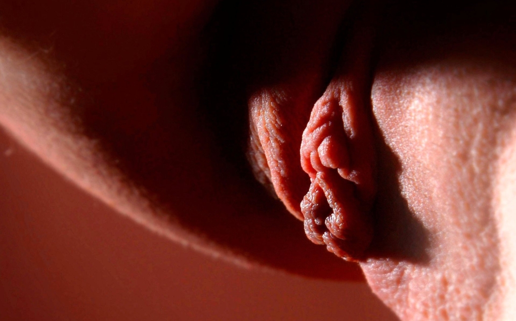 Красивые половые органы