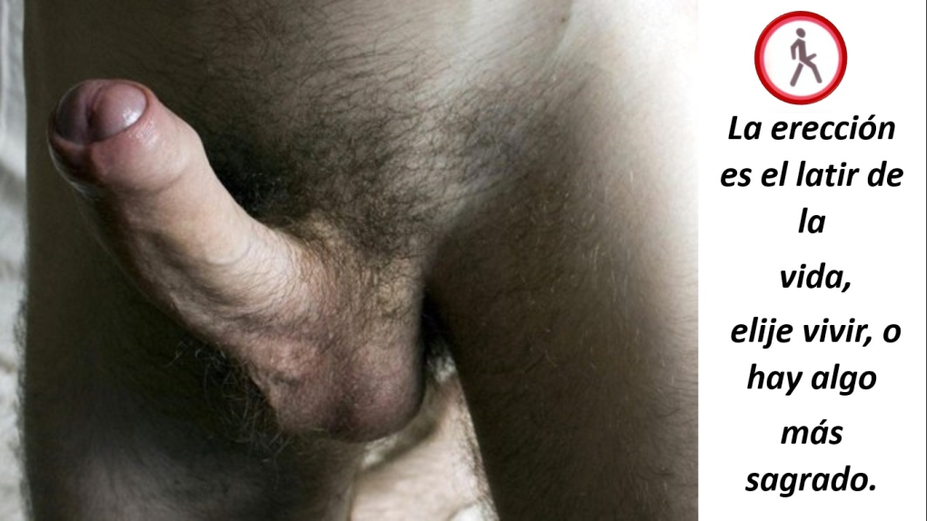 Бритые мужские гениталии