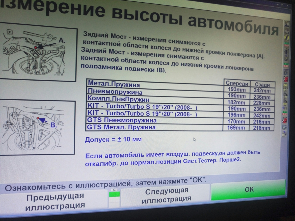 Тело человека спереди и сзади для детей