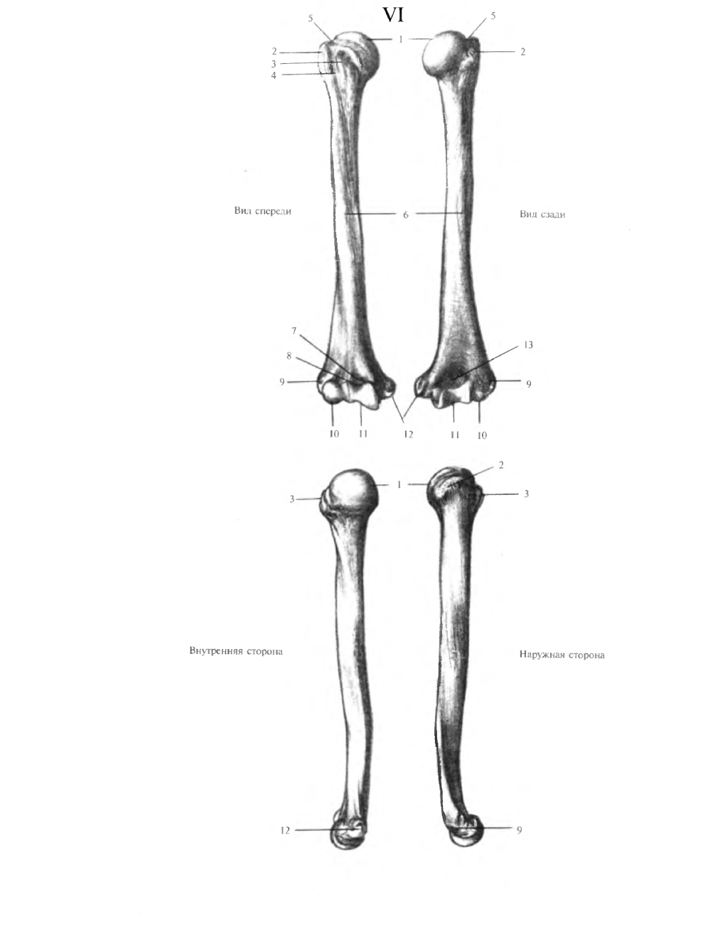 Мужской костюм спереди и сзади