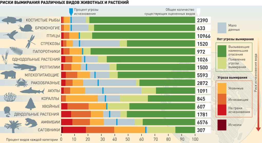 Black Bars для сони Вегас