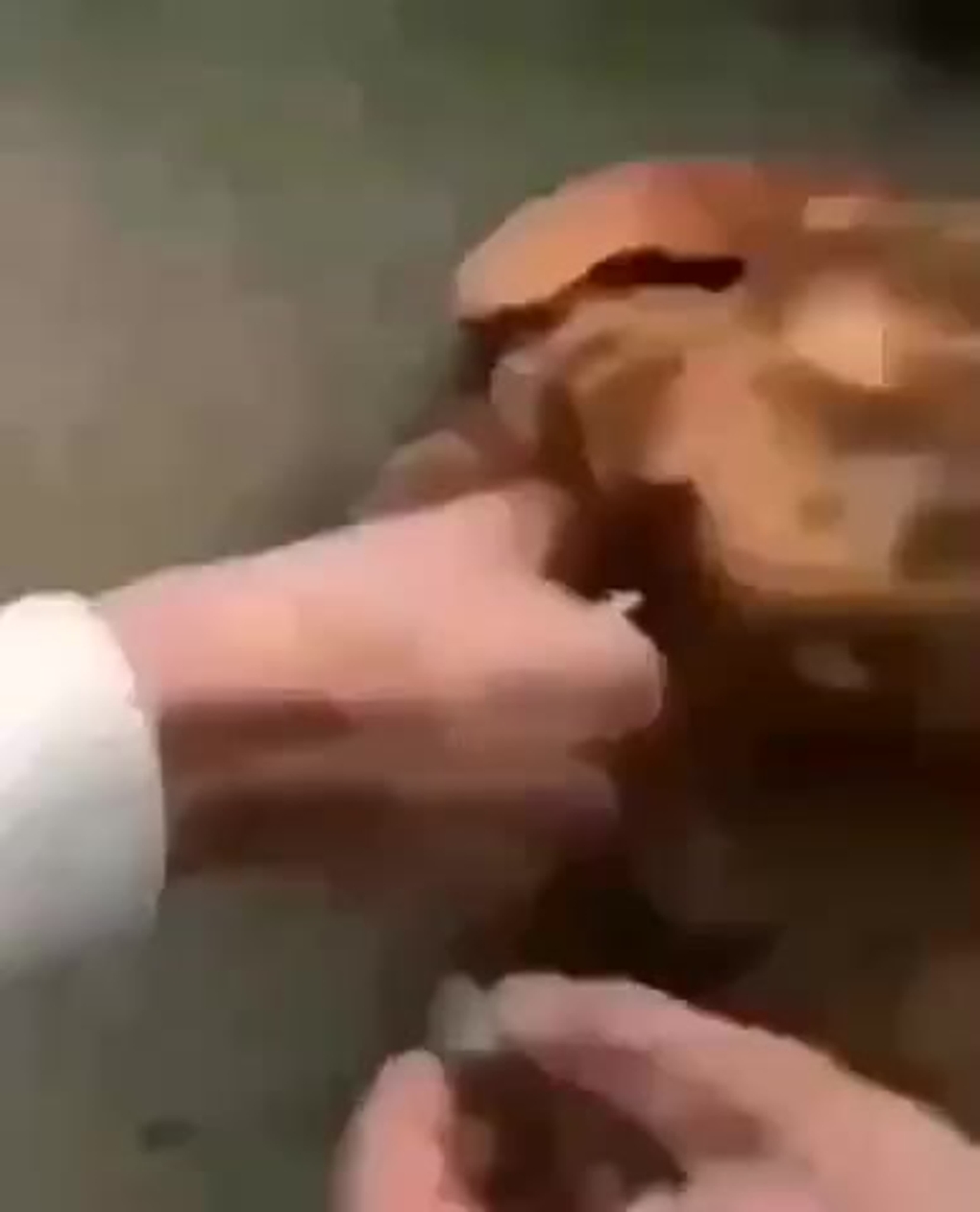 Фото Гомера Симпсона