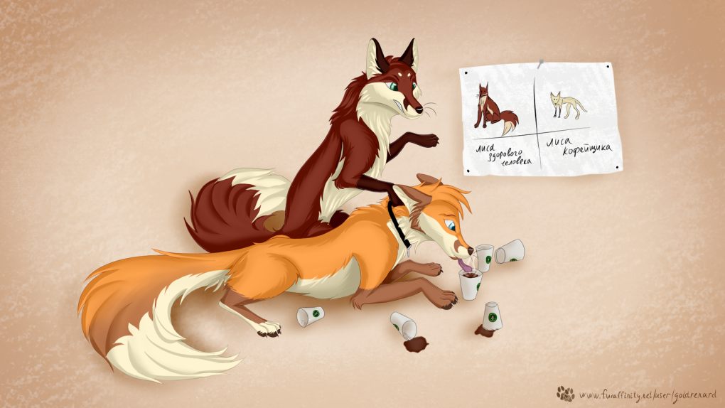 Фурри Лис и лиса