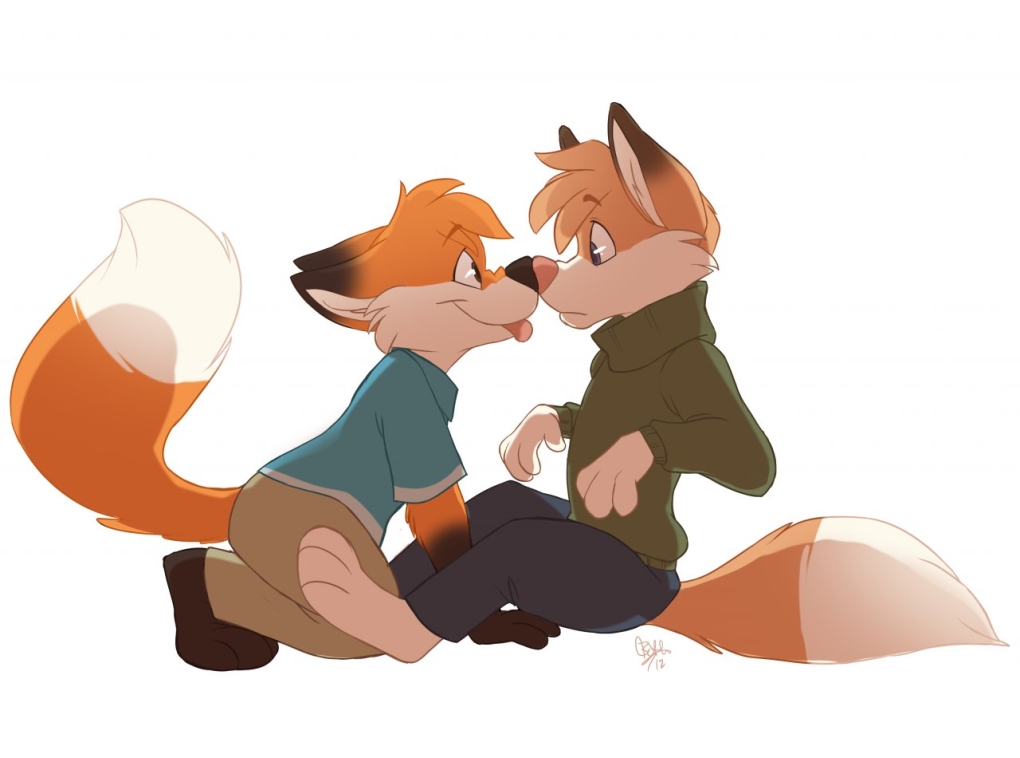 Енот и лиса фурри