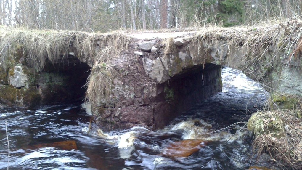 Дженна Пресли медсестра