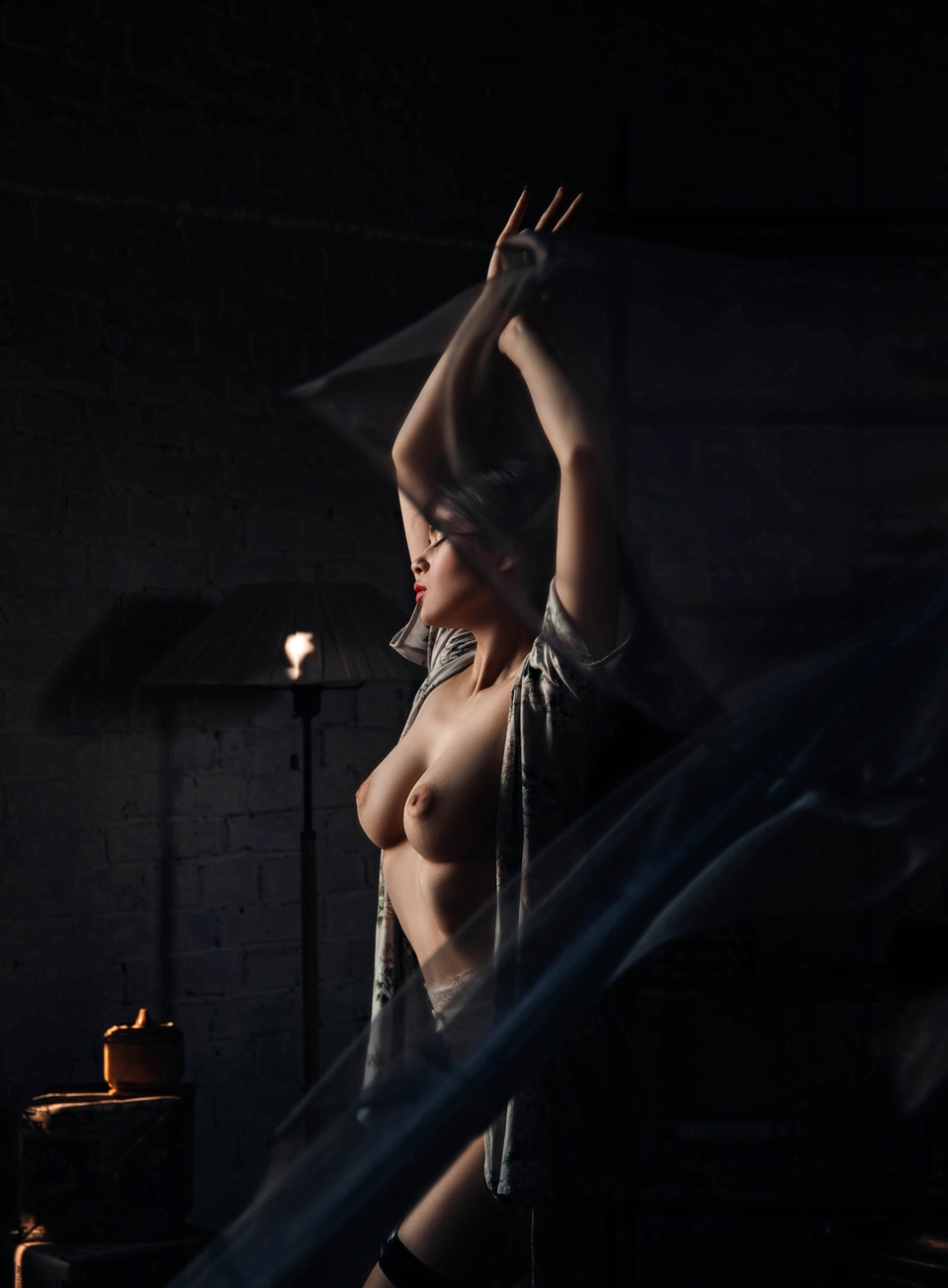 Майя Шахназарова голая