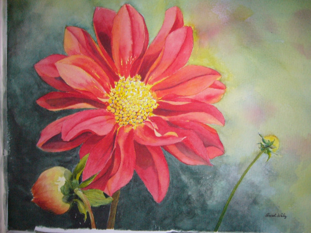 Георгин Зои Рейн