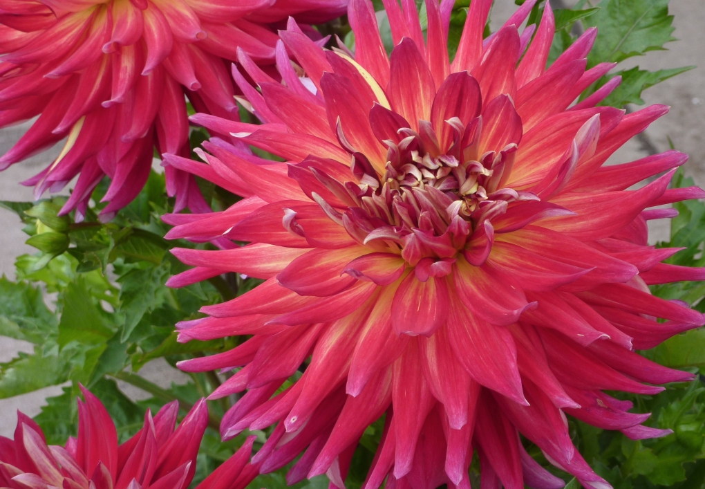 Хентай обои Минимализм