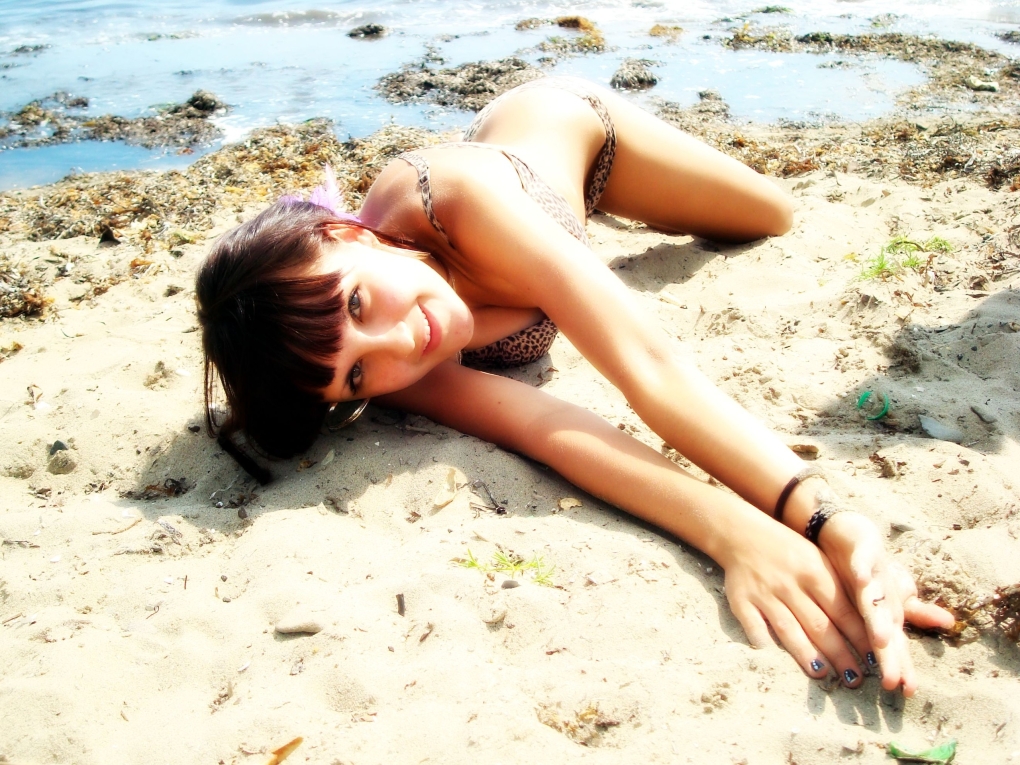 Векторный бык