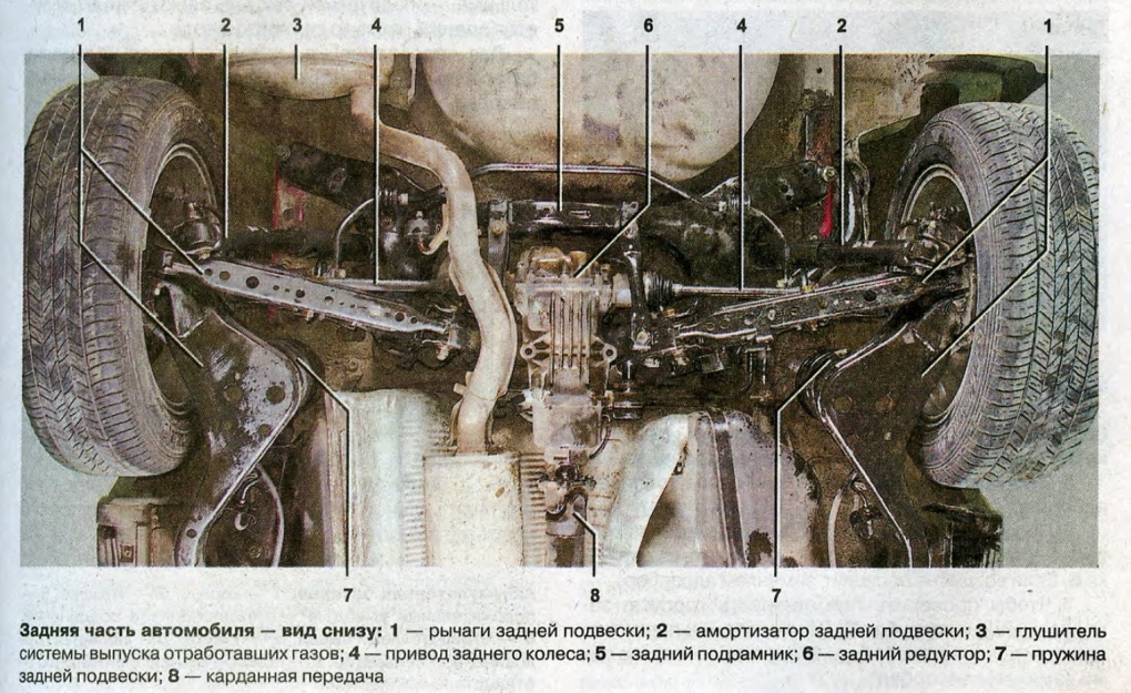 Сочные попки вид снизу