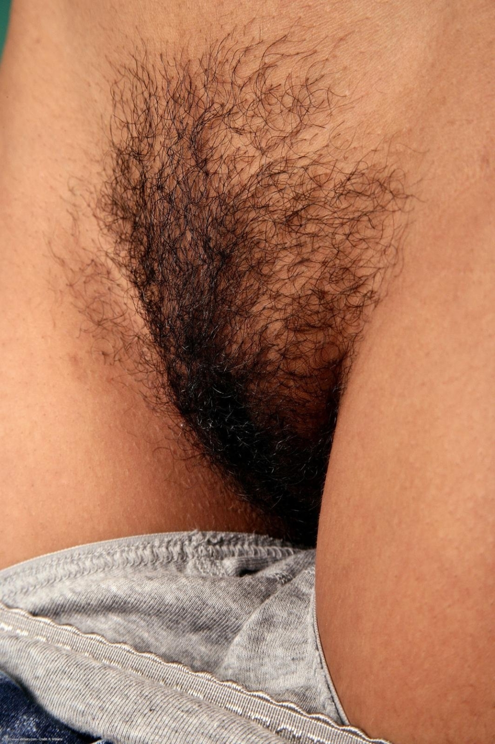 Красивые волосатые женские лобки