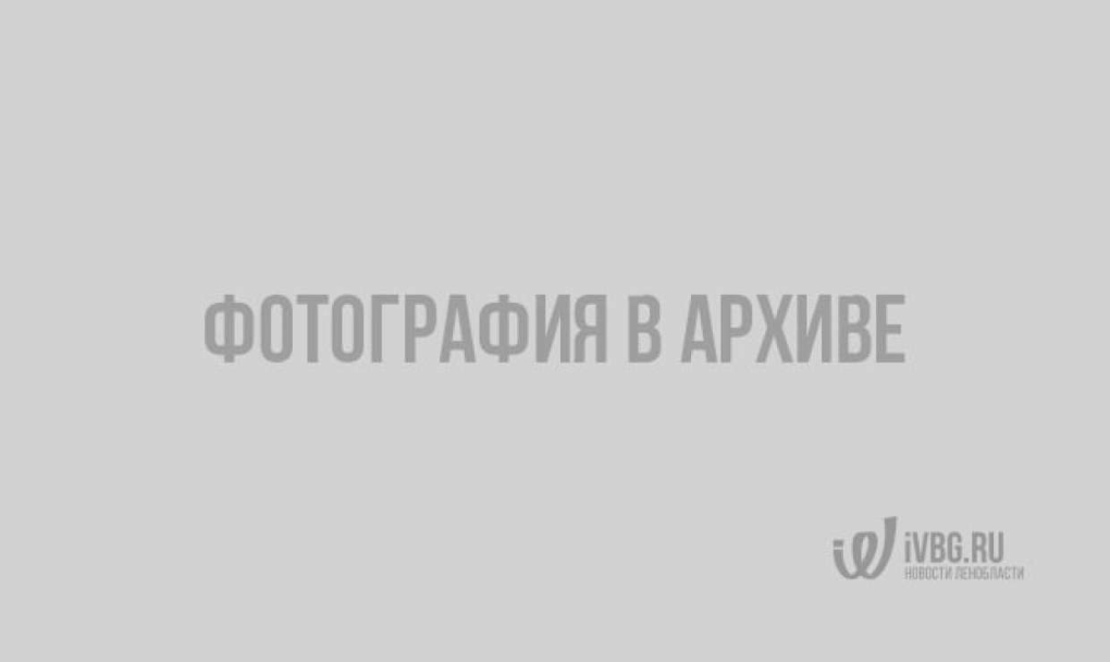 Эро красотки на заводе