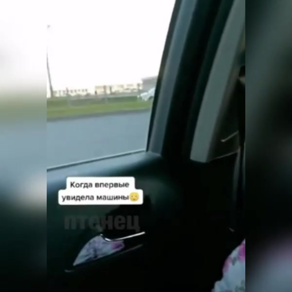 Водитель тебя ждут Дума