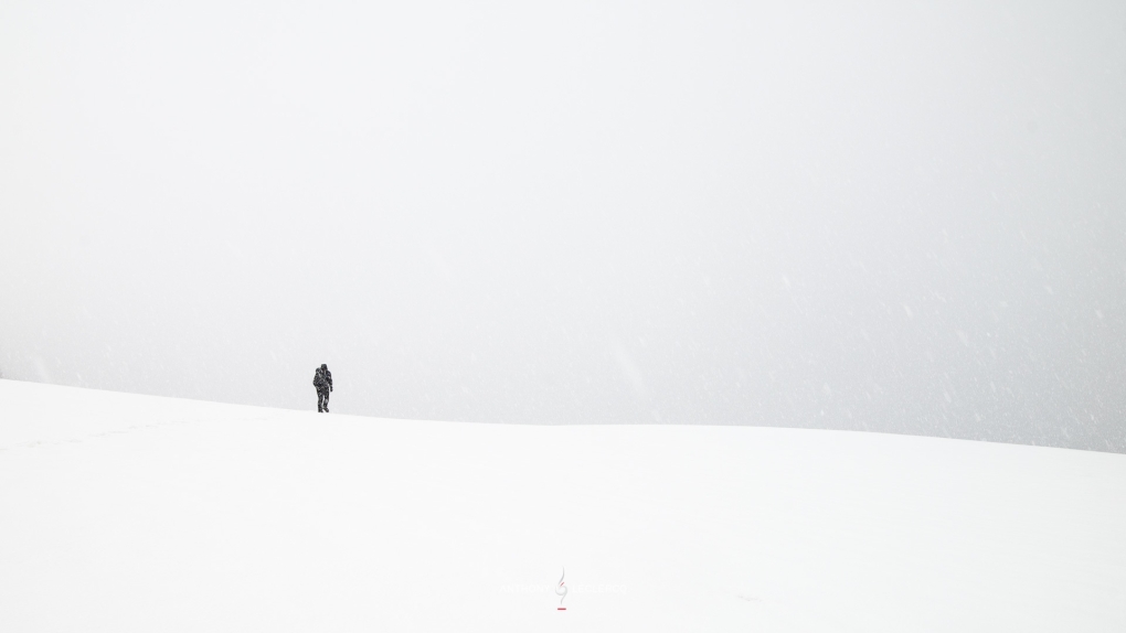 Слайсер mec CED 275rs