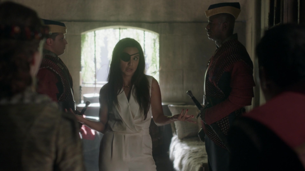 Дельфин шанеак ню