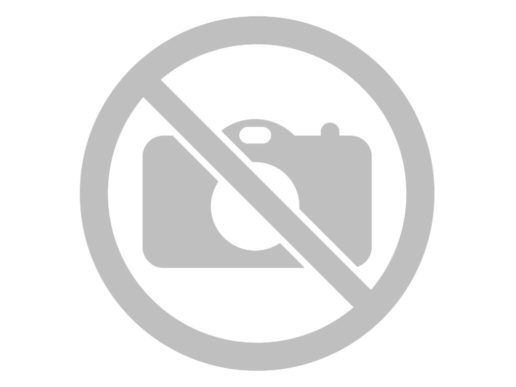 Lisa Ann портрет