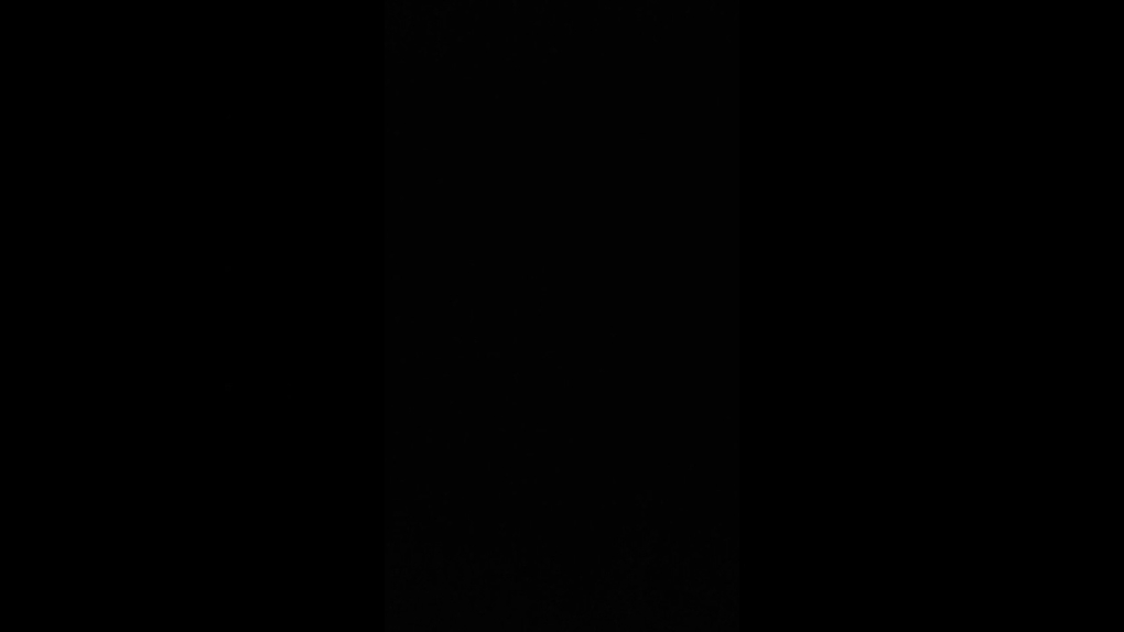 Габриэла Рикли модель