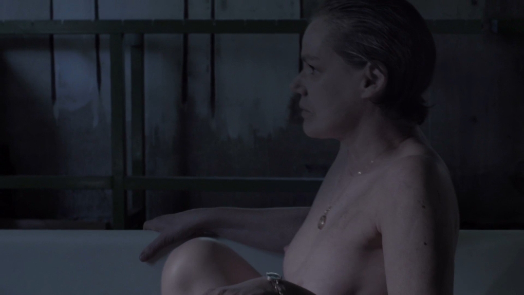 Анна Максвелл Мартин голая