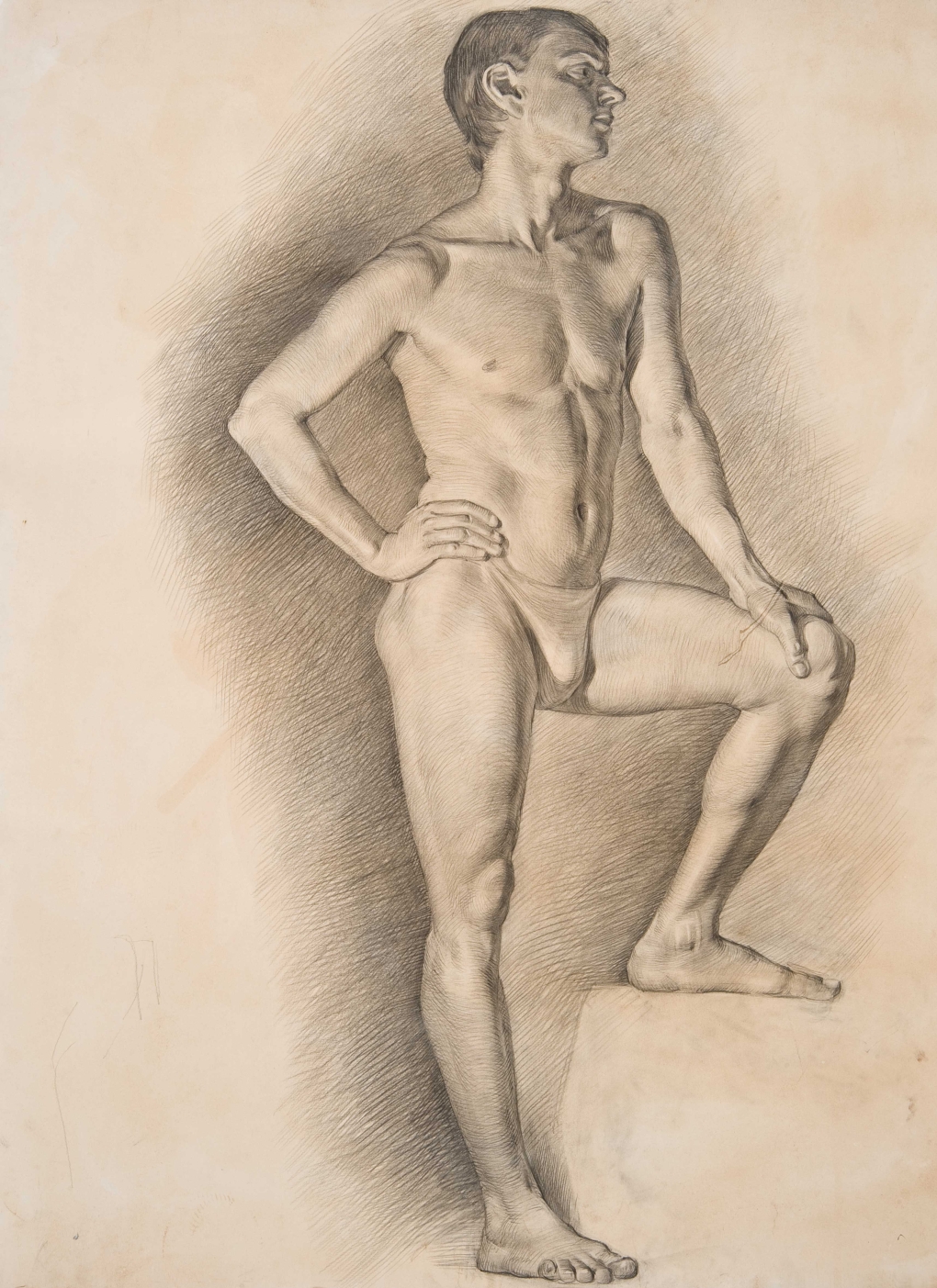 Мужская натура референсы